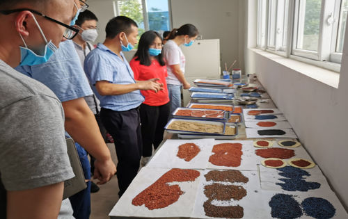Latest company news about Cơ sở công nghiệp-đại học-nghiên cứu của Khoa vật liệu của Đại học Công nghệ Chengdu, hợp tác toàn diện với Trung Quốc Guangdong Building Materials